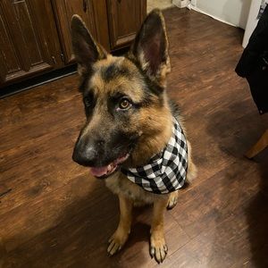 Meet your Posher, Leah